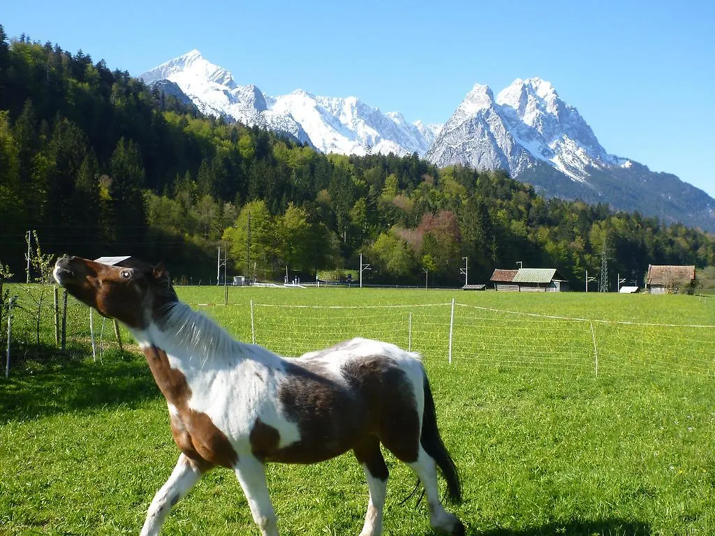 Bed and Breakfast Gästehaus Andreas Hofer Garmisch-Partenkirchen Frühstückspension